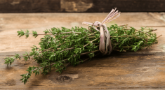 indonesia's herbal leaves