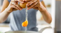 eating eggs often