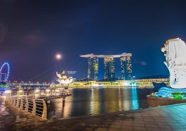 singapore bans food products