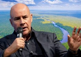 the amazon rainforest