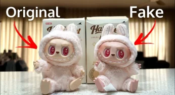 Beware of Scams! The Difference Between Lafufu and Labubu